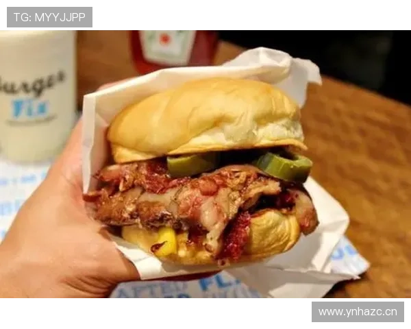 奥纳纳德乙时期汉堡表现解析 奥纳纳德乙时期汉堡表现解析