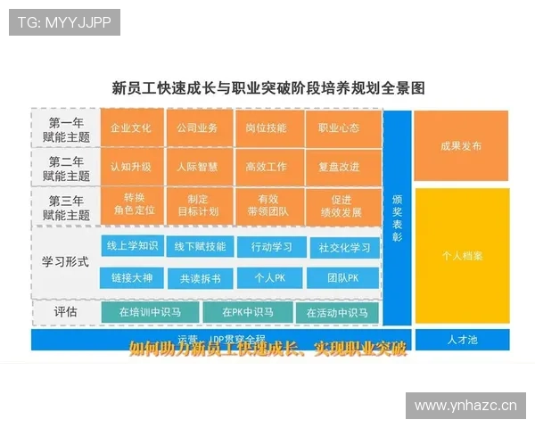 杜埃职业规划争议解析：个人发展与团队布局如何兼顾